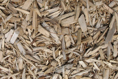 biomass boilers Arniston